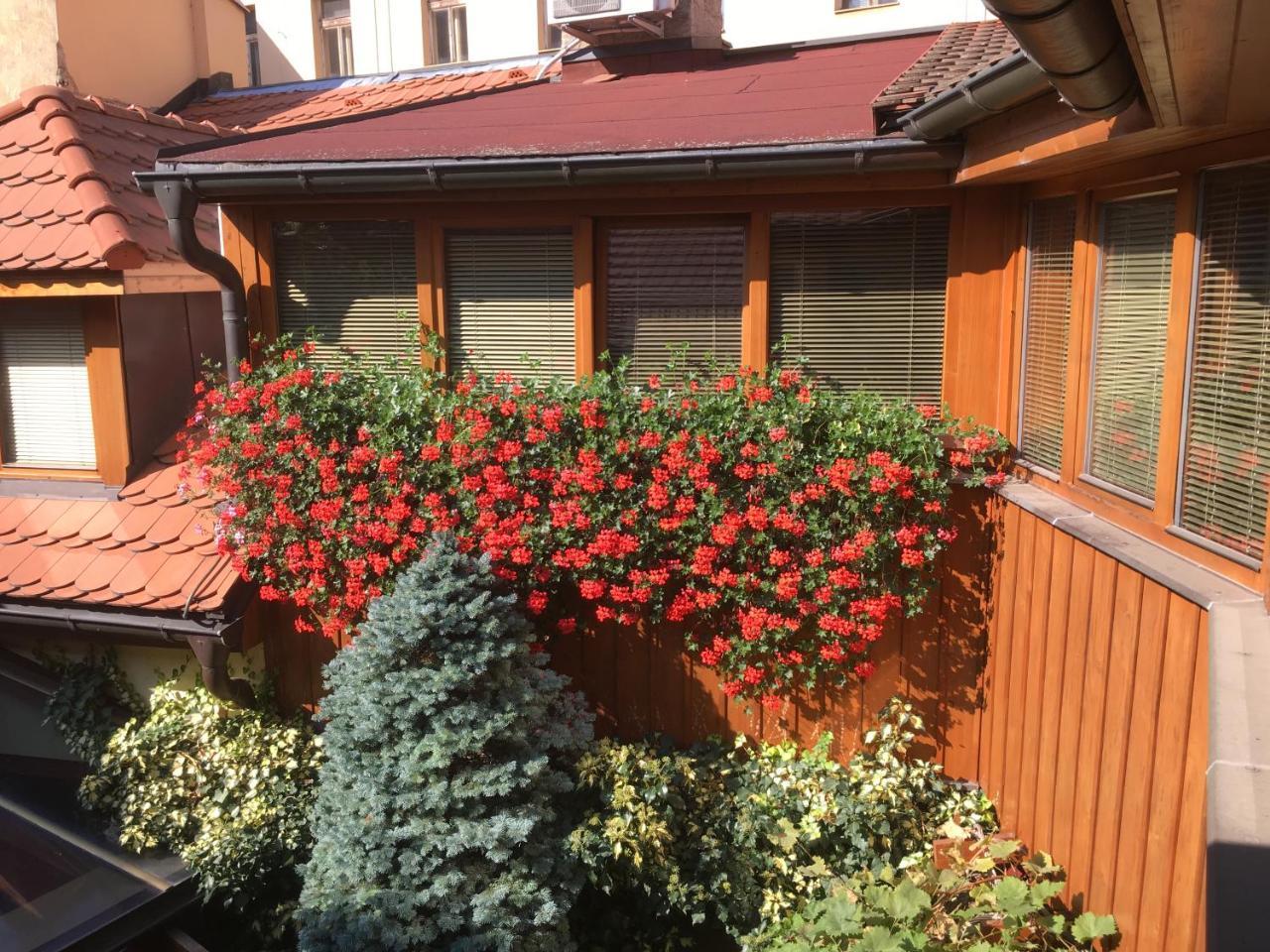 Penzion U Borovicku Litomerice Ngoại thất bức ảnh